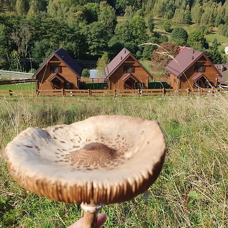 Chata Lisa Stronie Śląskie Exteriér fotografie