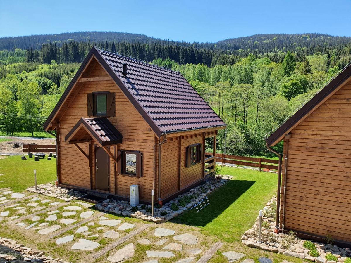 Chata Lisa Stronie Śląskie Exteriér fotografie