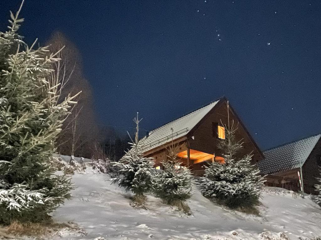 Chata Lisa Stronie Śląskie Exteriér fotografie